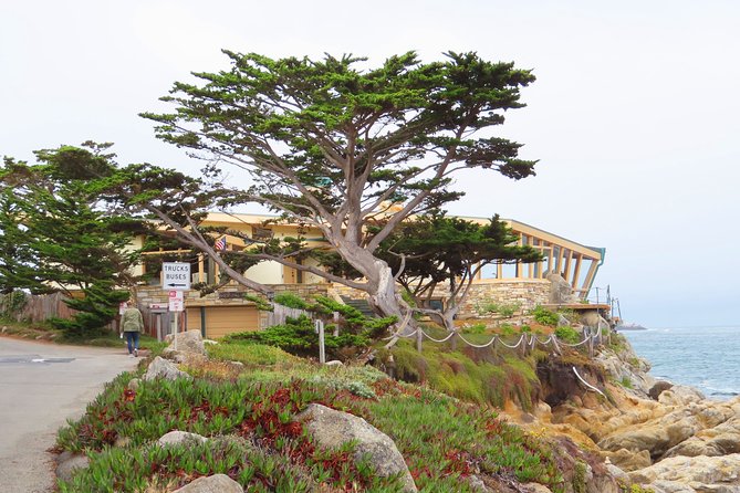 Carmel Point: A Self-Guided Audio Tour - Good To Know
