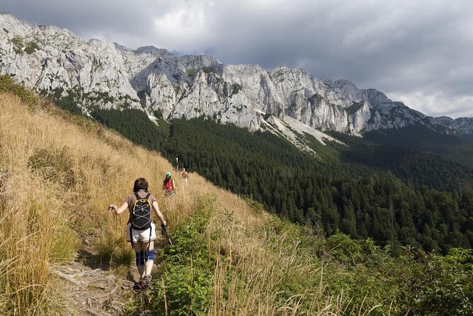 Carpathians in Romania: Piatra Craiului National Park With Native Spanish Guide. - Key Points