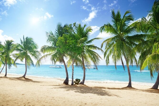 Catalina Island Scuba Diving and Snorkeling Tour From Punta Cana - Good To Know