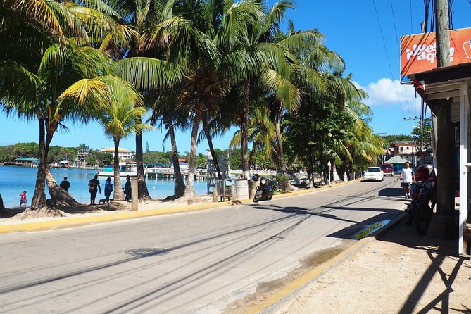 Catch a Ride to West End & Back to Port, Hotel or Airport (Roundtrip Transfer) - Service Overview