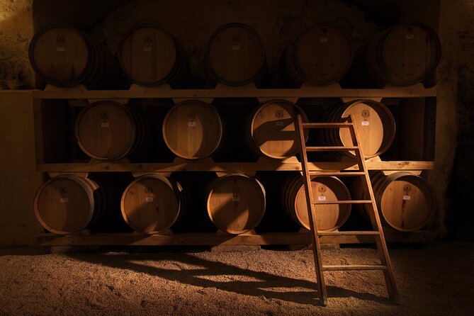 Cellar Visit and Wine Tasting in Salento - Good To Know