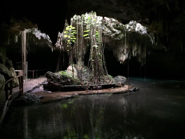Cenote Exploration Tour - Mayan Culture & Ancient Fossils & Fun! - Key Points