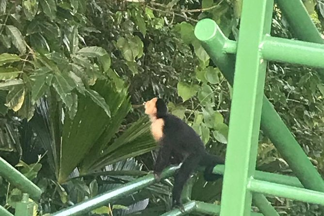 Cerro Tortuguero Tour (Aaron Tours) - About Your Stay