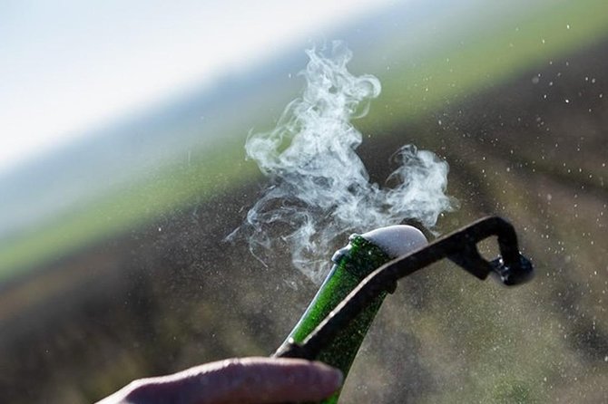 Champagne Lamiable: From the Vineyard to Your Own Bottle Full Experience - Good To Know