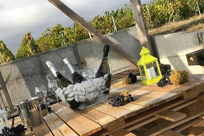Champagne Lamiable: Stroll and Taste in the Grand Cru Champagne Vineyard - Good To Know