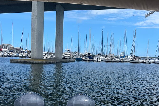 Charleston Harbor Boat Tour - Overview of the Tour