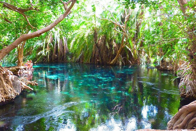 Chemka Hot Springs Tour From Moshi - Good To Know