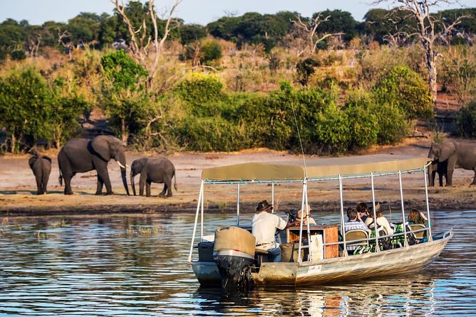 Chobe Day Trip - Good To Know