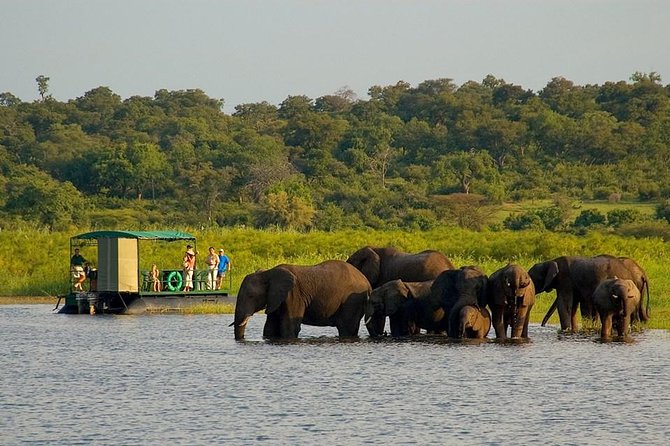 Chobe National Park 4X4 Day Safari and River Cruise - Good To Know