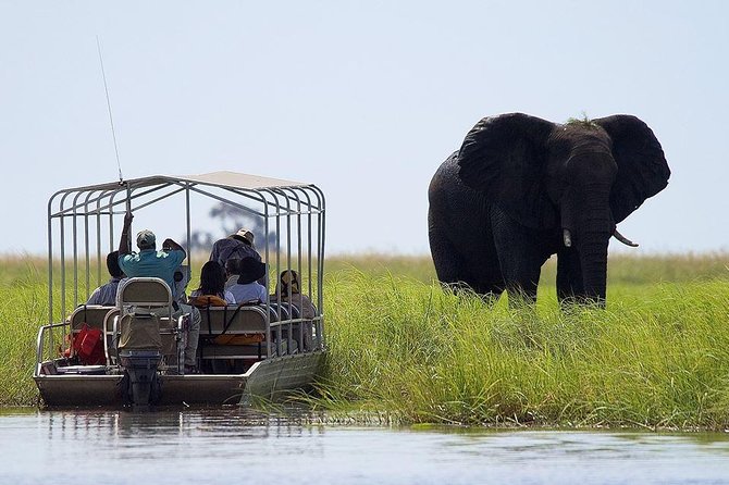 Chobe National Park Safari Full Day-trip - Key Points