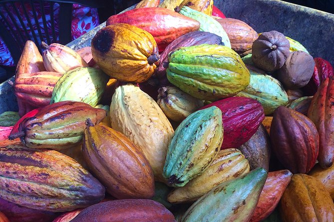 Chocolate and Cobblestones Tour With Taste of San Miguel - Key Points