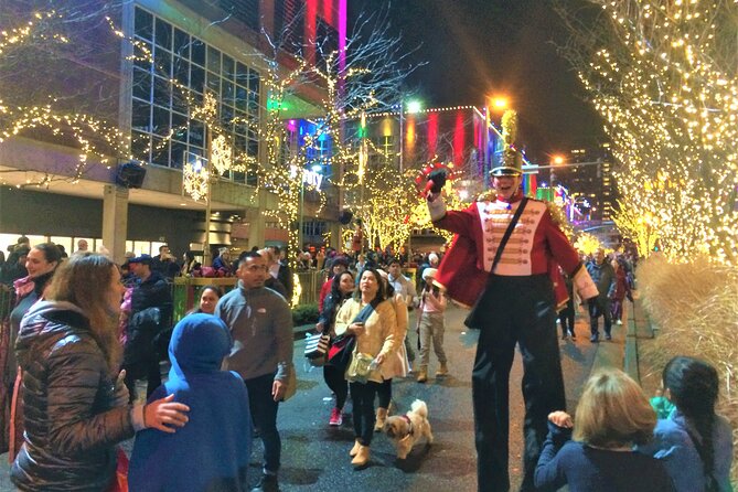 Christmas Lights and Snowflake Lane Photo Tour - Good To Know