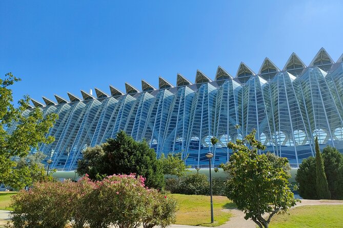 City of Arts and Sciences Bike Tour - Tour Overview