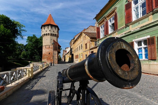 City Tour Sibiu in English - Good To Know