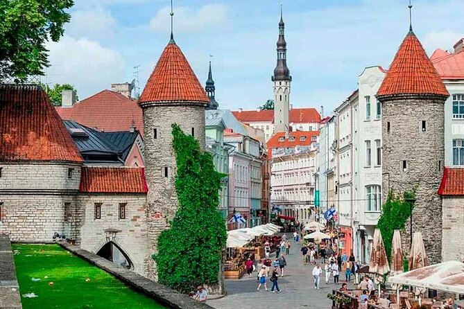 CO2-Offset Tallinn Tour: A Review - Key Points