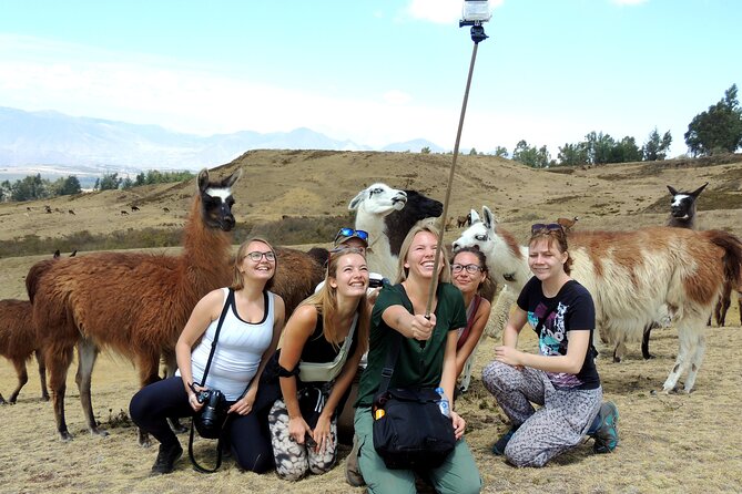 Cochasqui Pyramids, Rose Plantation and Equator Line Day Tour - About Your Stay