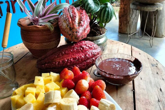Cocoa and Chocolate Tour in San Rafael From Medellín - About Your Stay