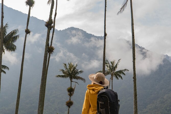 Cocora Valley and Salento Horseback Riding Day Tour - About Your Stay