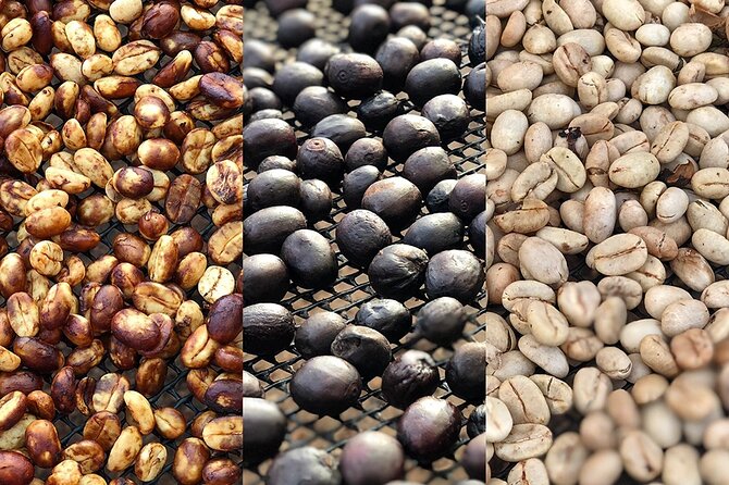 Coffee Farm and Salento Walking Tour With Lunch