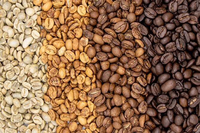 Coffee Plantation Visit and Tasting Activity in Costa Rica - Good To Know