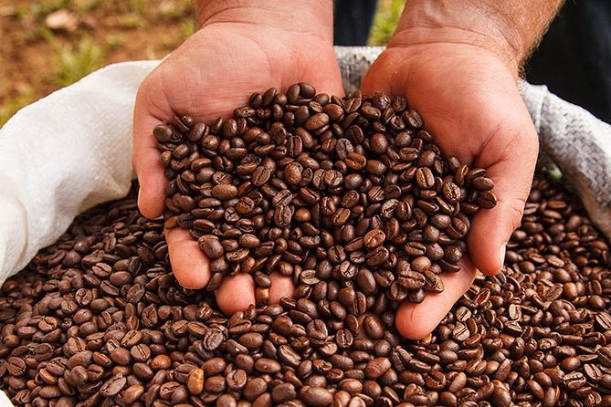 Coffee Tour, Grecia and Sarchi Oxcarts. Private Tour - About Your Stay