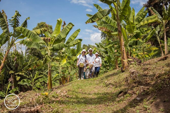 Coffee Tour - Mountains, Delicious Cups and Smiles - Good To Know
