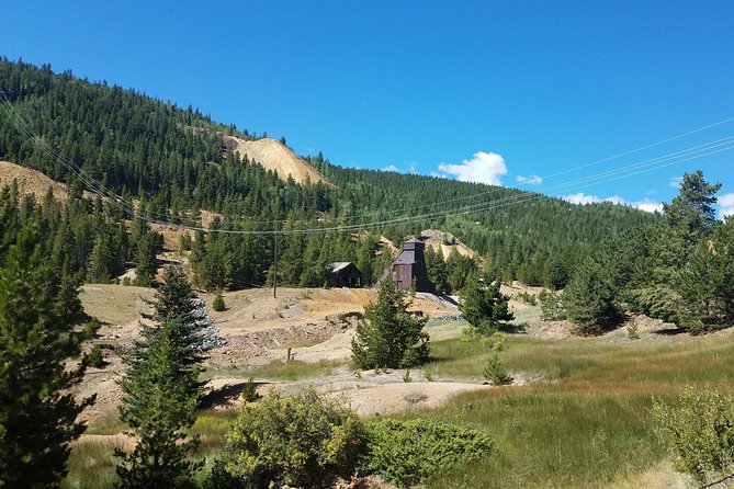 Colorado Gold Rush Mountain and Mine Half-Day Tour From Denver - Good To Know