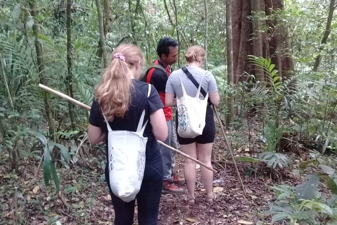 Combine of Tamblingan Waterfall and Twin Lake Tour - Good To Know