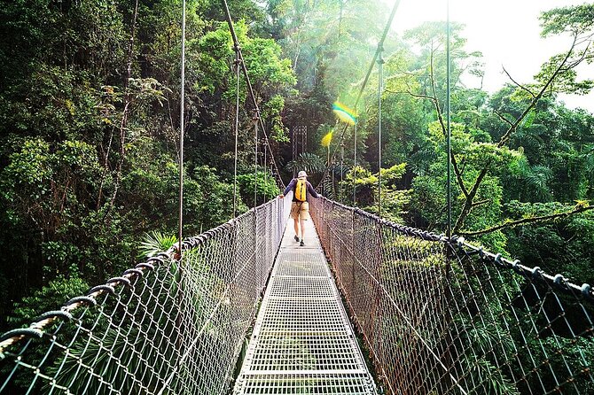 Combo: Day Trip to Hanging Bridges + ZipLine in Monteverde - Good To Know