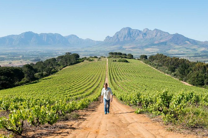 Constantia Winelands Private Wine Tour From Cape Town - Overview of the Tour
