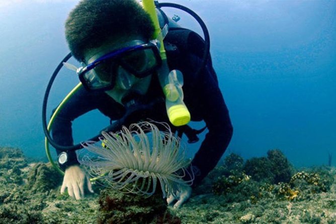 Costa Diving Tour - Machalilla National Park - About Your Stay