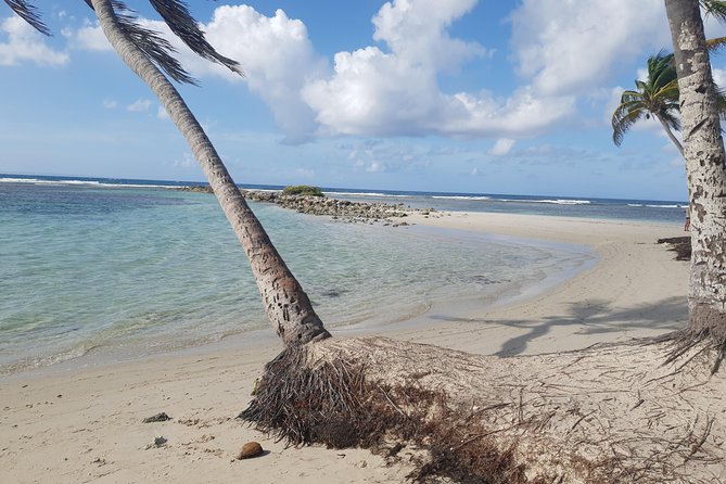Cruise Stopover" Caravelle Beach (Sainte-Anne) Return - Overview of the Activity