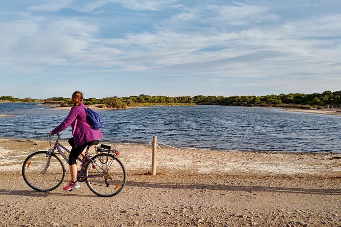 Cycle Albufera Lake, Rice Fields Paella and Boat Ride With Beach - Good To Know