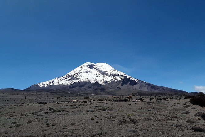 d22150-337923p82