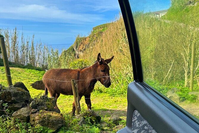 Sete Cidades Hikes - Off-Road Private Tour With Local Guide
