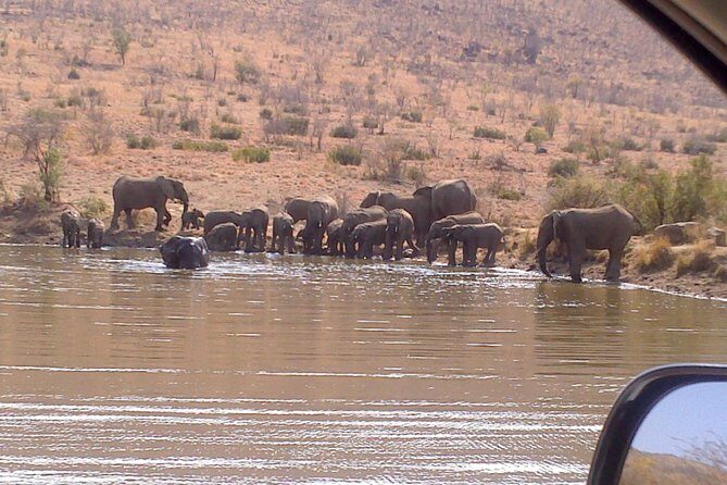 Pilanesberg National Park Day Tour From Pretoria, Every SATURDAY
