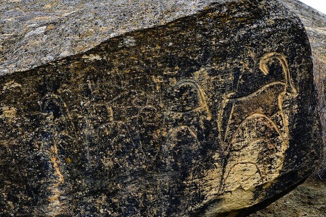 d22974-61994p11