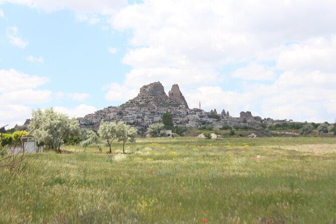 d23271-334684p13