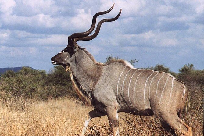 2 Days Wildlife Safari to Awash National Park