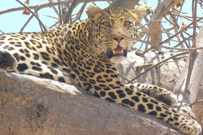 Flight Package Zanzibar to Nyerere National Park (Selous GR) 3 Days 2 Nights