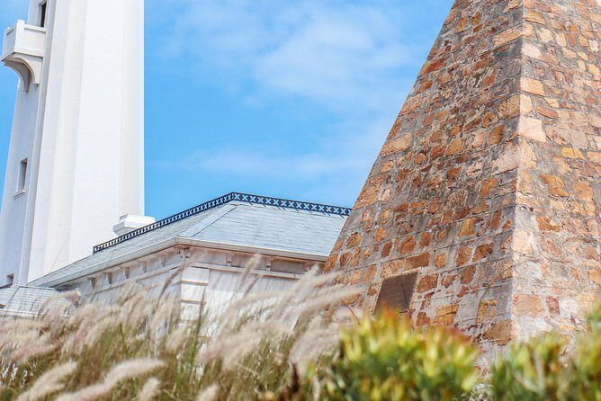 Ultimate Port Elizabeth Tour
