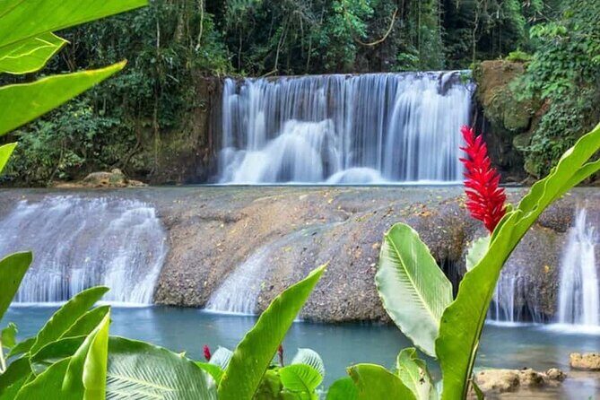 YS Falls, Black River and Pelican Bar Tour From Negril