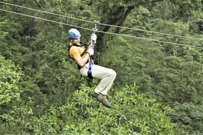 Zipline Canopy & Dunns River Falls Guided Tour With Admission From Falmouth