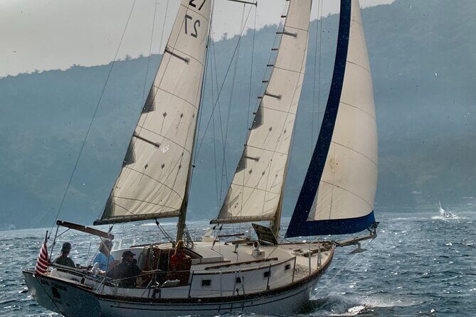 d4375-40087p141