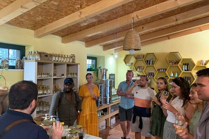 Private Wine and Gin Tour Review