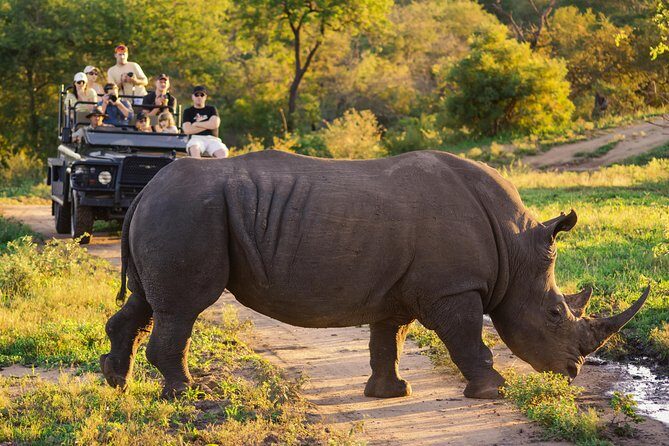 5 Day-Kruger National Park Safari From Kruger Int. Airport (Kmi), Panorama Route