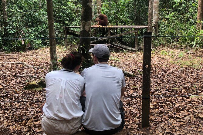 Orangutan Tanjung Puting Honeymoon Couple Tour