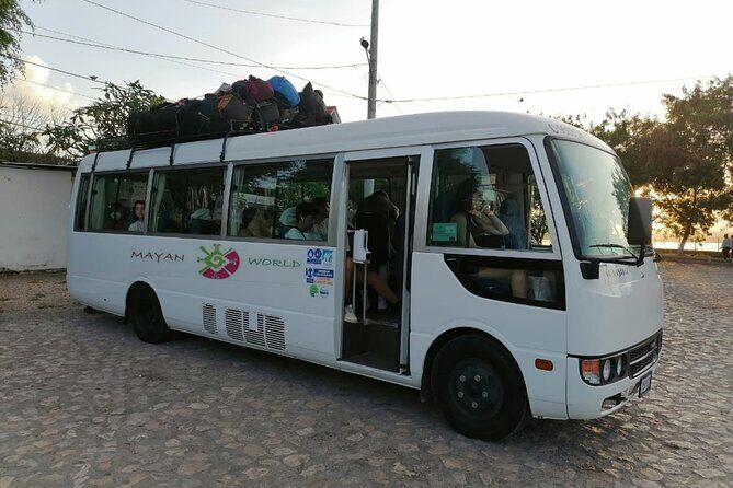 d5374-296004p21