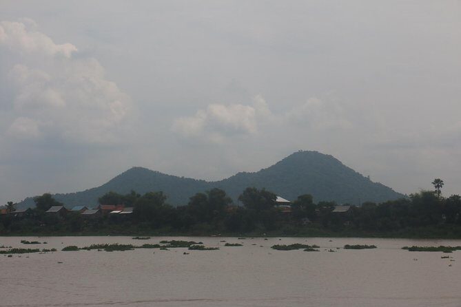 d5425-68160p545