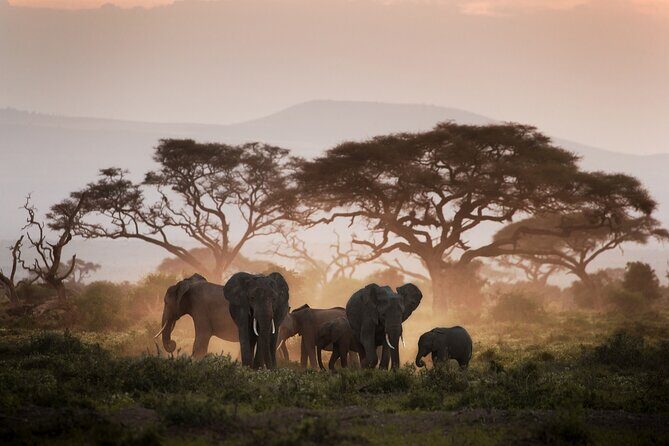 8-Day Classic Uganda Primates & Wildlife Tour